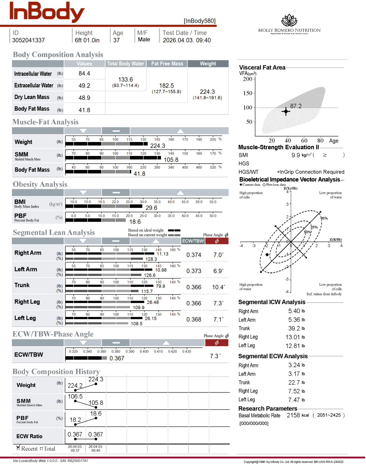Sample Inbody Scale Report Services|Molly Romero Nutrition